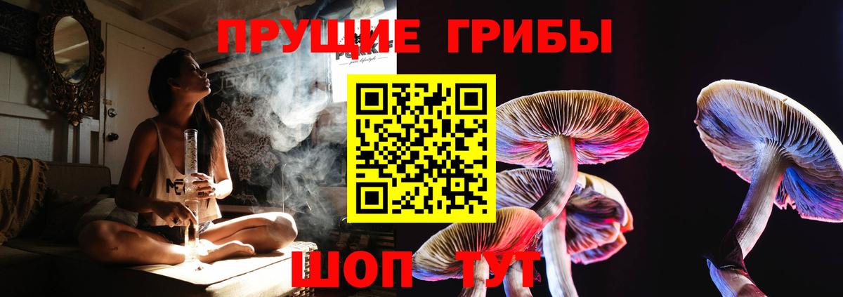 Ленинск-Кузнецкий  закладка  Вход с VPN  Галлюциногенные грибы Psilocybine cubensis 